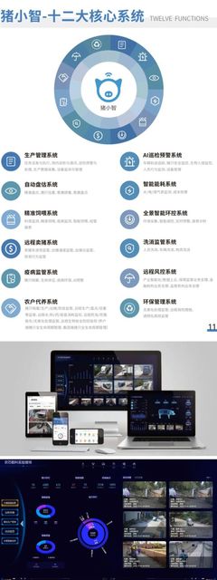 走进软三·数智企业 厦门工业软件、智慧养猪、人工智能的头雁企业探秘