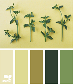 绿植配色灵感 自然色彩在视觉与设计中的应用